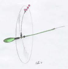 Interesante :) - images.jpeg